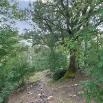 Podere Frassinelli 度假居 Stribugliano